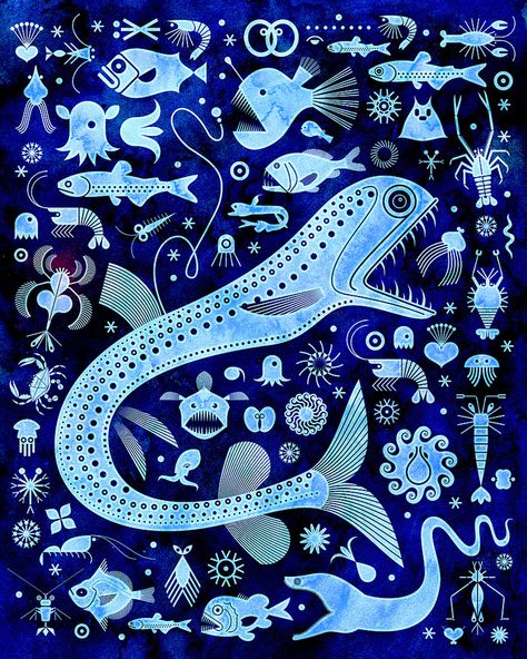 the abyssal zone by Scott Partridge via Flickr - Photo Sharing! Scott Partridge, Deep Sea Life, Ragnarok Anime, Deep Sea Creatures, Angler Fish, Matching Wallpaper, Iphone Skin, Ipad Models, Ipad Skin