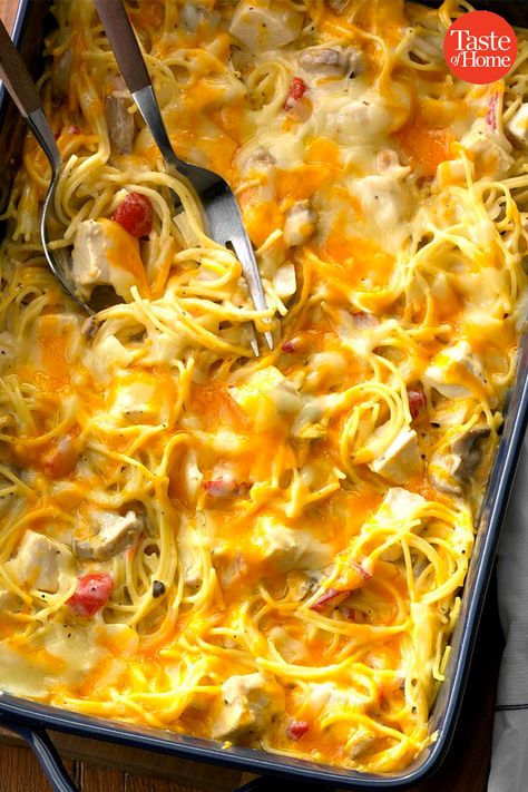 Spaghetti Casserole Recipe, Chicken Spaghetti Casserole, Chicken Spaghetti Recipes, Chicken Noodle Casserole, Spaghetti Casserole, Hearty Chicken, Cheesy Casserole, Noodle Casserole, Chicken Spaghetti