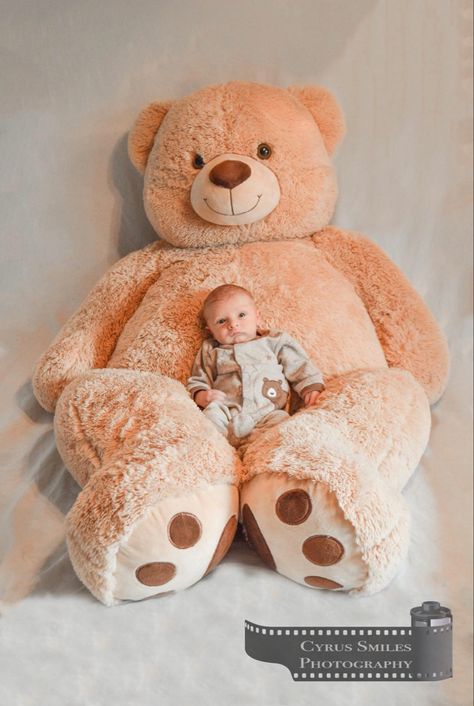 Baby Photoshoot With Teddy Bear, Teddy Bear Themed Photoshoot, Teddy Bear Baby Photoshoot, Teddy Bear Photoshoot Ideas, Teddy Bear Photoshoot, Baby Boy Newborn Photography, Baby Milestones Pictures, Monthly Baby Pictures, Teddy Bear Images