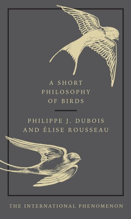 A Short Philosophy of Birds - Philippe J Dubois and Elise Rousseau Bird Book, French Books, Penguin Books, Latest Books, Amazon Book Store, Reading Lists, Book Publishing, Book Lists, Natural World