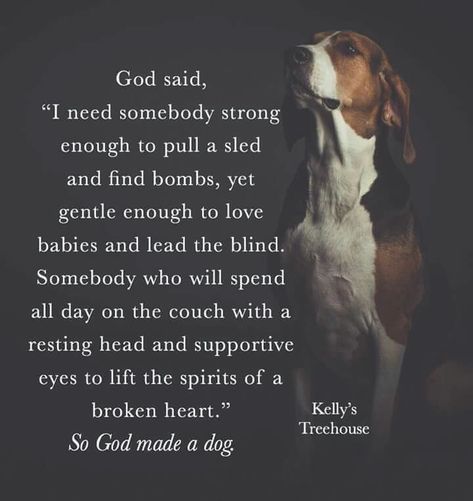 Prayer For Sick Dog, Losing A Dog Quotes, Fur Baby Quotes, Dog Poems, Comfort Words, Dog Quotes Love, Bedtime Prayer, Funny Baby Quotes, Sick Dog