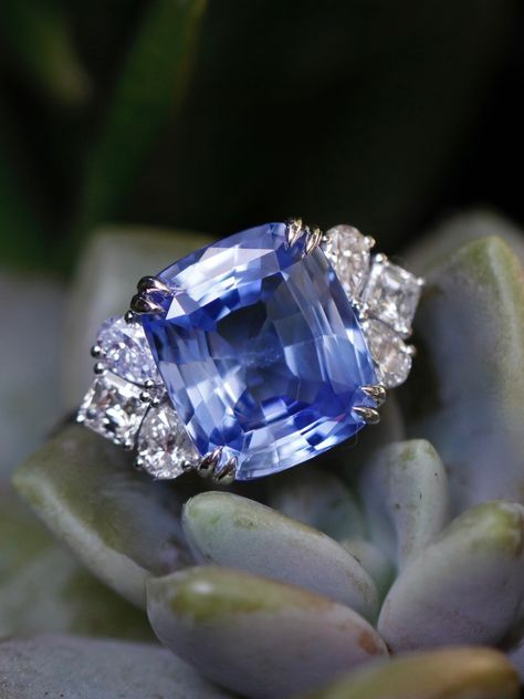 “Once in a while i am struck all over again... by just how blue the sky appears .. on wind-played autumn mornings, blue enough to bruise a heart.” ― Sanober Khan 1. Blue Ceylon sapphire with signature NWJ diamond shoulders. 2. Tanzanite and diamond dress ring with Art Deco inspired setting. 3. Blue Ceylon sapphire engagement ring with ombre' pinwheel halo. 4. Sapphire, tourmaline and spinel birthstone cluster ring. 5. Blue spinel and diamond ring with hand engraving. 6. Royal blue Ceylon sa... Sanober Khan, Ceylon Sapphire Ring, Diamond Dress Ring, Halo 4, Ceylon Blue Sapphire, Blue Spinel, Diamond Dress, Autumn Morning, Ceylon Sapphire