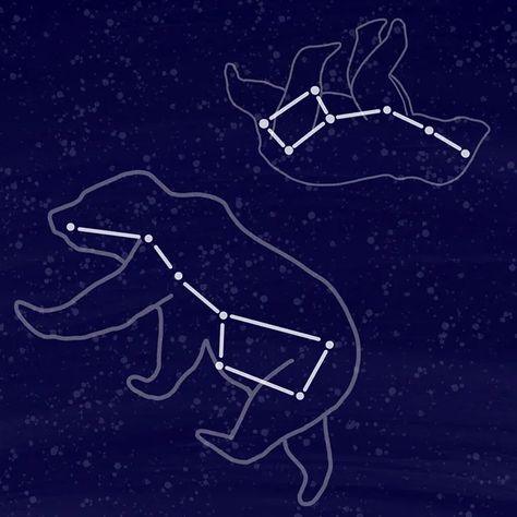 Ursa Minor Tattoo, Ursa Major Tattoo, Ursa Major Ursa Minor, Ursa Minor, Ursa Major, Bear Tattoo, Zodiac Sign, Zodiac Signs, Signs