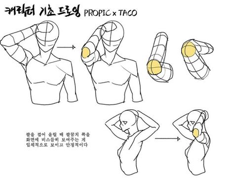 When folding the arm up, showing the elbow slightly towards the screen looks more three-dimensional and stable. Anatomy Reference Drawing, Taco Drawing, Hand Drawing Reference, Anatomy Sketches, Reference Drawing, Body Reference Drawing, 캐릭터 드로잉, Anatomy Drawing, Figure Drawing Reference