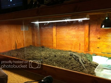 New Tegu and my custom Enclosure! (lots of Photos) | Arachnoboards Savannah Monitor Enclosure Diy, Tegu Enclosure Ideas, Argentine Tegu Enclosure, Tegu Enclosure Diy, Tegu Lizard Enclosure, Monitor Lizard Enclosure, Large Reptile Enclosure, Tegu Enclosure, Lizard Enclosure