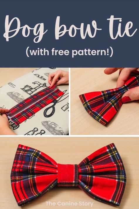 A selection of x3 photos showing a tartan bow tie in each stage of being made. Text reads Dog Bow Tie - with free pattern! Diy Dog Bows, Dog Bow Tie Diy, Dog Bow Tie Pattern, Bow Tie Tutorial, Dog Bandana Pattern, Dog Sewing Patterns, Dog Poo, Diy Dog Collar, Walker Bag