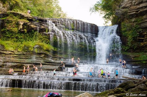 THE 15 BEST Things to Do in Cookeville - 2022 (with Photos) - Tripadvisor Cummins Falls, Cummins Falls State Park, Cookeville Tennessee, Tennessee Road Trip, What To Do Today, Tennessee Vacation, To Do Today, Cummins, Adventure Awaits