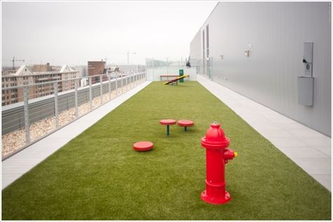 The rooftop dog run is a great place to burn off some excess energy. Dog Park Design, Park Architecture, Luxury Dog Kennels, Dog Kennel Designs, Apartment Pet, Urban Dog, Apartment Dogs, Dog Parks, Pet Hotel