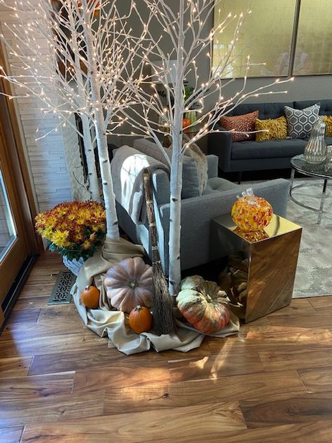 Birch Tree Fall Decor, How To Decorate With Lighted Birch Trees, Fall Birch Trees, Birch Tree Decor, Aspen Trees, Birch Trees, Boutique Store, Fall Centerpiece, Boutique Stores