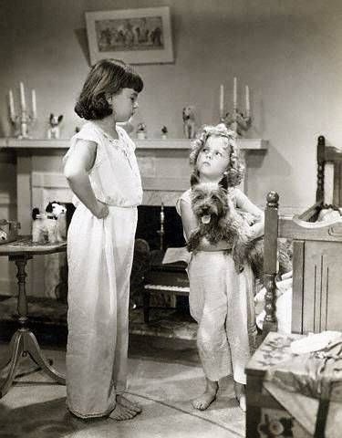 Rags played by Terry the Cairn Terrier (with Shirley Temple in 'Bright Eyes' Shirley Temple Christmas, Jane Withers, Shirley Temple Black, Best Christmas Movies, Classic Christmas Movies, Abc Photo, Cairn Terriers, Cairn Terrier, Shirley Temple