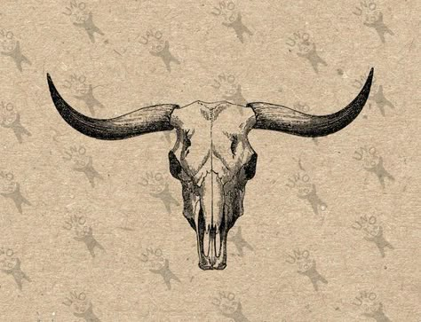 Bull Buffalo Skull Vintage image Instant Download Digital printable clipart graphic Burlap Fabric Tr Deer Sketches, Bulls Skull, Ox Skull, Longhorn Tattoo, Ephemera Diy, Cow Skull Tattoos, Bull Skull Tattoos, Skull Animal, Masculine Tattoos