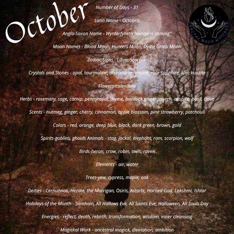 Witches Sabats, October Correspondences, October Witchcraft, Witchy Knowledge, October Magic, Moon Aries, Witchcraft 101, Moon Hunters, Blessed Samhain