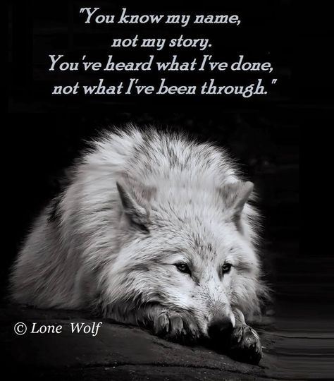 The Lone Wolf Lup Singuratic, Lone Wolf Quotes, Viking Quotes, Wolf Quotes, Wolf Spirit Animal, She Wolf, Wolf Love, Wolf Pictures, Beautiful Wolves