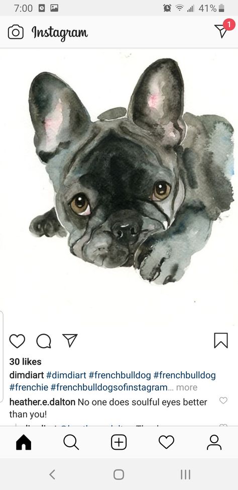 Frenchie Painting Easy, Frenchie Watercolor, French Bulldog Watercolor, Puppy Sketches, Lilac French Bulldog, French Bulldog Painting, French Bulldog Pictures, French Bulldog Art, Dog Watercolor