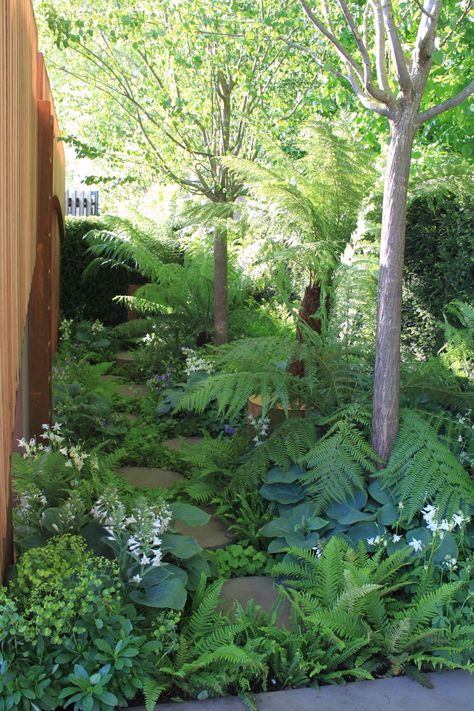 Woodland Gardens, Native Gardens, Ferns Garden, Dreamy Garden, Woodland Plants, Multi Sensory, Sensory Garden, Garden Stepping Stones, Pallets Garden