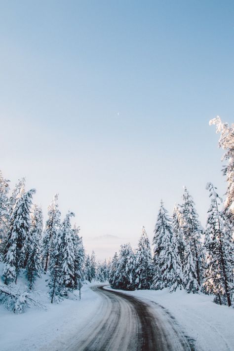 January Vibes, Idaho Winter, Idaho Adventure, Sawtooth Mountains, North Idaho, Enjoy Winter, River Bank, Aspen Trees, Above The Clouds