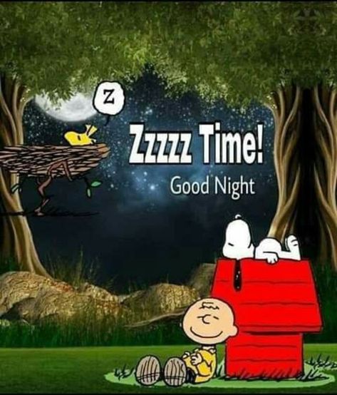 Funny Good Night Pictures, Goodnight Snoopy, Good Night Hug, Funny Good Night Quotes, Good Night Sweetheart, Funny Happy Birthday Song, New Good Night Images, Love Blessings, Good Night Dear