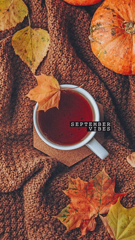 Welcome September: Cute social media posts for the first day of the month ⋆ The Aesthetic Shop First Of September, September Aesthetic, September Images, Fall Backgrounds Iphone, September Wallpaper, Welcome September, First Day Of Autumn, Fall Mood Board, Hello September