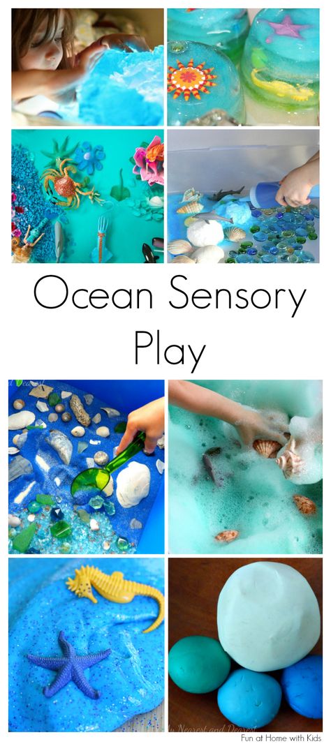 15 of the best ideas for Ocean-themed Sensory Play.  Includes ideas for babies, toddlers, and older children.  From Fun at Home with Kids Ocean Theme Sensory Play, Ocean Sensory Activities, Ocean Sensory Bottles, Ocean Sensory Play, Ocean Sensory Bin, Ocean Sensory, Sensory Tubs, Sensory Bags, Ocean Unit