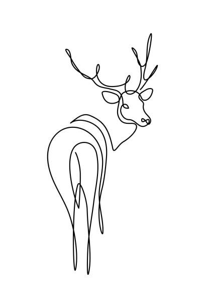 Deer Antlers Drawing, Antlers Drawing, Deer Outline, Elk Tattoo, Antler Tattoo, Flower Vector Art, Wildlife Tattoo, Peony Drawing, Line Art Tattoo