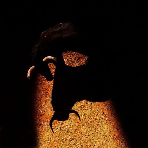 Minotaur Aesthetic, Bull Aesthetic, Crystal City, The Minotaur, Bull Horns, Last Ride, Film Inspiration, In Sign, The Shadow