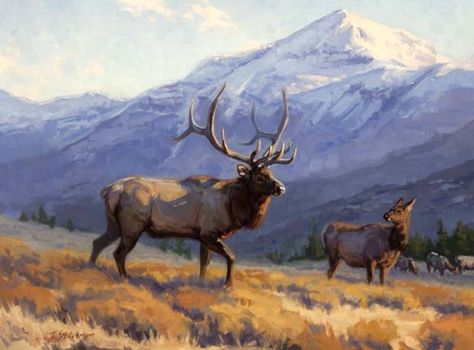 Elk painting Elk Pictures, Bull Elk, Hunting Art, Elk Hunting, Wildlife Prints, Deer Art, Wildlife Paintings, Animals Artwork, Arte Animal