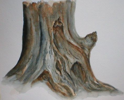 lesson4 tree stump | art class...variegated wash, drybrush, … | Flickr Tree Stump Art, Tree Trunk Drawing, Tree Painting Easy, Stump Art, Aspen Trees Painting, Handmade Wallpaper, Tree Stumps, Observational Drawing, Painting Easy