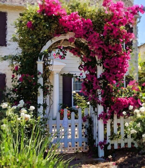 20 Best Climbing Plants For Pergolas And Arbors Bougainvillea On Fence, Bougainvillea Trellis Ideas, Vegetable Garden Trellis Ideas, Plants For Pergolas, Climbing Bougainvillea, Bougainvillea Arch, Trellis Ideas Garden, Outdoor Trellis Ideas, Bougainvillea Trellis