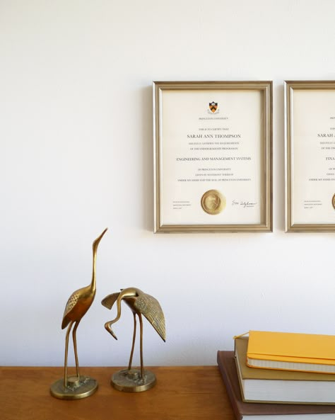 Love the way these whimsical brass birds play with our Certificate Frame in Antique Silver. Diploma And Certificate Wall, Framed Certificates Display, How To Display Degrees At Home, Certificate Frames On Wall, Office Certificate Wall Display, Degree On Wall, Degree Frame Ideas Wall Art, Diploma Frame Ideas Display, Degree Frame Ideas Office