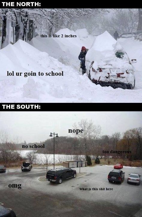 I wish people would understand that we're not just overreacting about a little snow... It's dangerous for us because we're not equipped to handle any snow because it never happens here! North Vs South, Toxic People, Have A Laugh, Down South, Minnesota Vikings, What’s Going On, Laughing So Hard, North Shore, Bones Funny