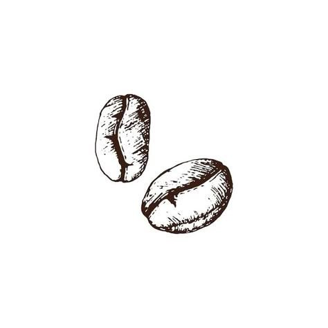 Coffee Beans Tattoo, Coffee Bean Drawing, Coffee Bean Tattoo, Coffee Bean Illustration, Coffee Bean Jar, Coffee And Cats, Homemade Alcohol, Menu Illustration, Milk Packaging