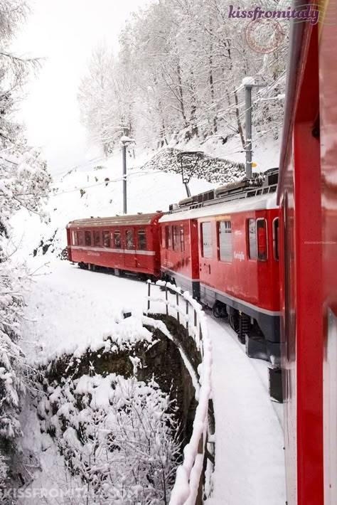 Bernina Express Train on the Swiss Alps - Contact us for amazing expriences in Italy - #italytravel #kissfromitaly Swiss Alps Winter, Swiss Train, Bernina Express, Italy Winter, Switzerland Cities, Scenic Train Rides, Swiss Travel, Express Train, Italy Tours