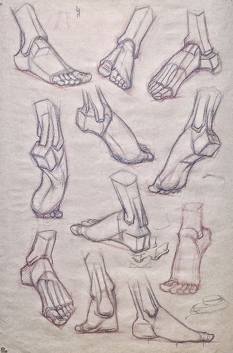 Foot structural drawing for class -Gary Geraths Feet Drawing, Structural Drawing, Human Anatomy Drawing, Human Figure Drawing, Human Anatomy Art, Human Drawing, Figure Sketching, 캐릭터 드로잉, Different Angles