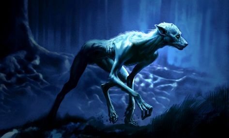 Werewolf | Harry Potter Wiki | Fandom powered by Wikia Remus Lupin Werewolf, Harry Potter Creatures, Lupin Harry Potter, Werewolf Art, Prisoner Of Azkaban, Remus Lupin, White Wolf, Magical Creatures, Fantastic Beasts