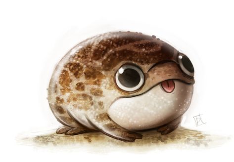 Daily Paint #670 - Desert Frog Quickie by Cryptid-Creations.deviantart.com on @deviantART Desert Frog, Desert Rain Frog, Rain Frog, Desert Rain, An Animal, Toad, Deviantart, Paint