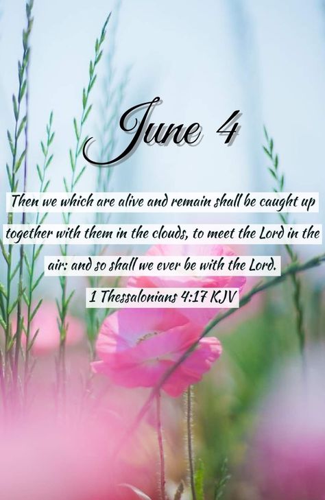 June Blessings, June Quotes, June Days, Blessings Quotes, Encouraging Bible Verses, Blessed Quotes, And July, King James Bible, Morning Blessings