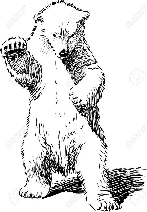 Polar Bear Tattoo, Polar Bear Drawing, Polar Bear Illustration, Bear Standing, Bear Sketch, Bear Tattoo Designs, Polar Bear Art, Drawing Legs, Bear Tattoos