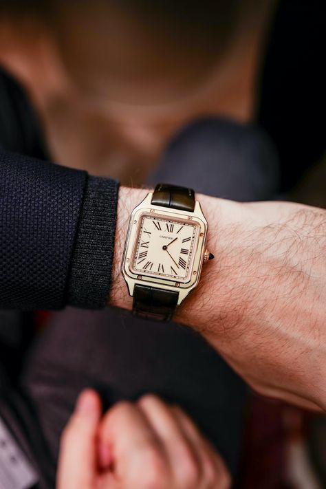 Cartier Dumont, Cartier Santos Men, Cartier Mens Watch, Santos Cartier, Watches Aesthetic, Cartier Santos Dumont, Cartier Santos Watch, Watch Outfit, Cartier Watches Mens