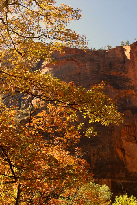 Travel Photos, USA, Temple of Sinawava at Zion National Park Temple Of Sinawava, Zion National Park, Travel Photos, Grand Canyon, National Park, Temple, National Parks, Natural Landmarks, Travel