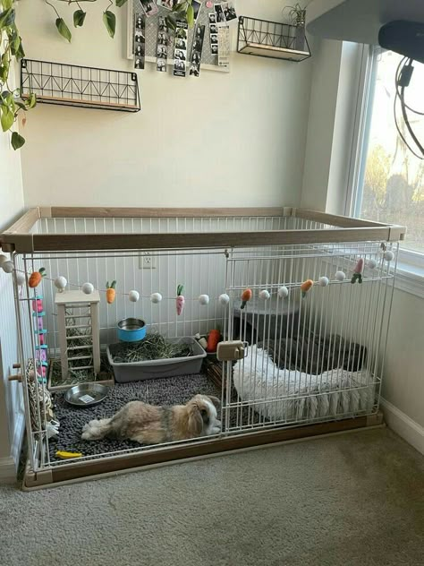 Rabbit Free Roam, Free Roam Rabbit Set Up, Free Roam Bunny Set Up, Rabbit Cage Setup, Rabbit Setup, Bunny Enclosure, Diy Bunny Cage, Indoor Rabbit House, Diy Rabbit Cage