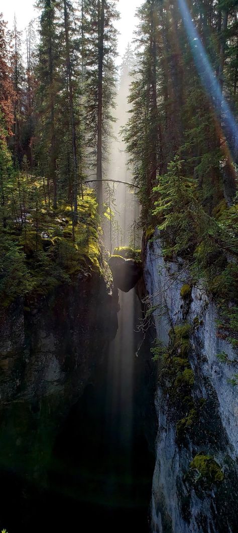 Cool Wallpaper Maligne Canyon, Rialto Beach, Jasper Alberta, Canada Photography, World Wallpaper, Nature Mountains, Cool Wallpapers For Phones, Wild Nature, Alberta Canada