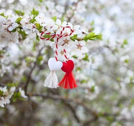 Baba Marta, Work Calendar, 8 Martie, Days And Months, Happy Wishes, Easter Egg Decorating, Morning Flowers, Spring Has Sprung, Egg Decorating