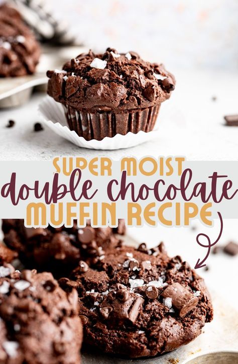 Double Chocolate Muffins Chocolate Muffins Buttermilk, Best Double Chocolate Muffins, Double Chocolate Chunk Muffins, Moist Chocolate Chip Muffins Recipe, Sourdough Double Chocolate Muffins, Best Quick Desserts, Double Chocolate Chip Cupcakes, Giant Muffins, Moist Chocolate Muffins