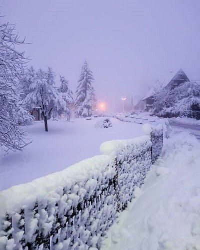 Snowy Pictures, 숲 사진, Wonder Land, I Love Winter, Winter Love, Winter Scenery, Winter Magic, Winter Beauty, Snow Scenes