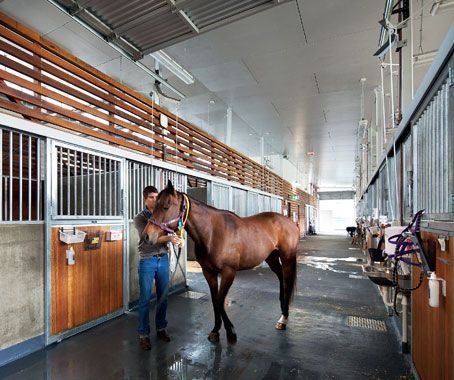 Equine Hospital 02 by John Gollings Equine Hospital, Veterinary Office, 2023 Vision, Office Ideas, Equestrian, Horses, Animals, Pins