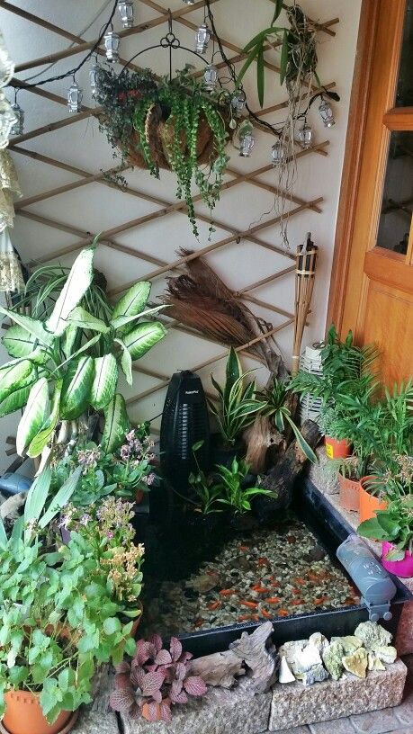 Indoor pond, small balcony, indoor plants Indoor Pond, Indoor Courtyard, Diy Balcony, Diy Garden Fountains, Small Backyard Gardens, Small Balcony Ideas, Apartment Balcony Decorating, Garden Fountains, Balcony Design