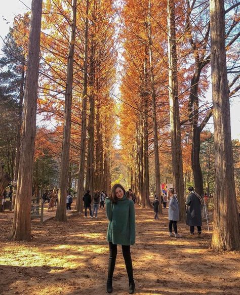 Nami Island Autumn, Nami Island, Korean Photo, Island Outfit, Japan Outfit, South Korea Travel, Photo Pose Style, Korea Travel, Online Poker