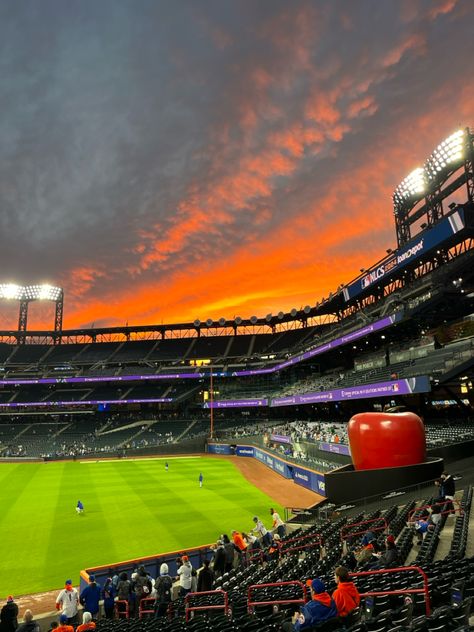 citi field, new york mets, sunset, baseball stadium Citi Field Mets, New York Mets Aesthetic, Mets Stadium, Stadium Pics, Citi Field, Sports Media, It Will Happen, Sports Stadium, Baseball Stadium