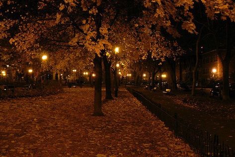 Leaves On The Ground, Fall Mood Board, Dark Autumn, Autumn Lights, Street Lights, Autumn Night, Season Of The Witch, Autumn Scenery, Best Seasons