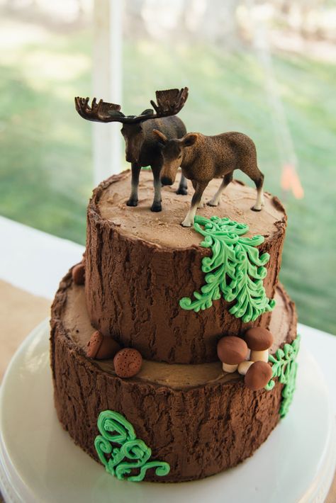 Camping Cake Ideas, Woodsy Cake, Moose Birthday, Moosehead Lake Maine, Moose Cake, Camping Cake, Stump Cake, Nature Cake, Mountain Cake